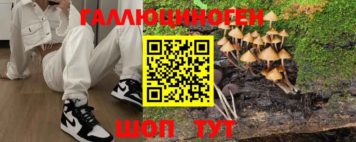 Псилоцибиновые грибы Psilocybe  как найти наркотики  Ейск  Вход с VPN 