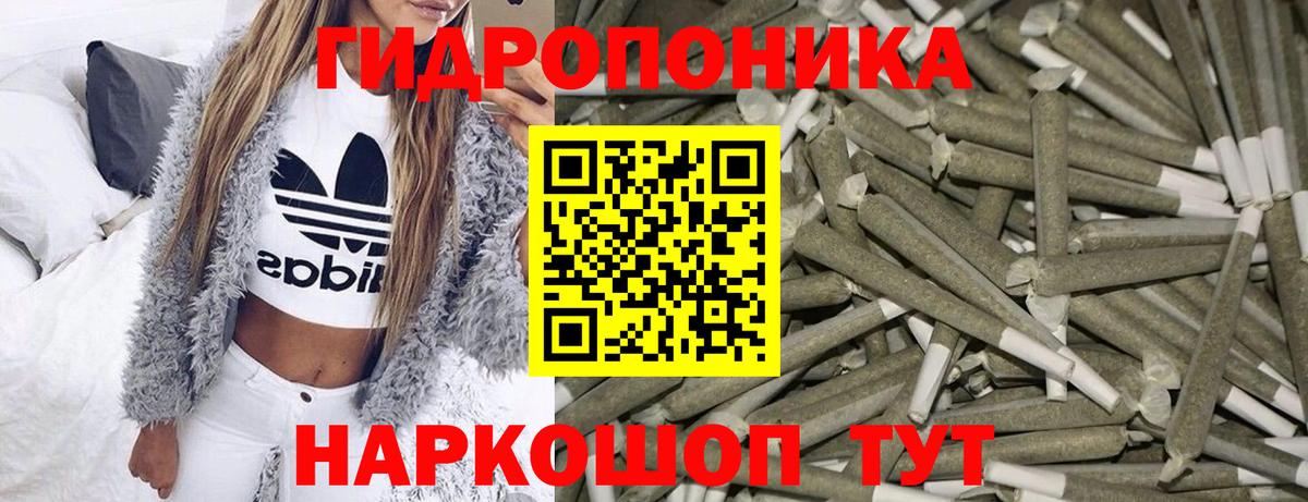 Конопля OG Kush Ейск